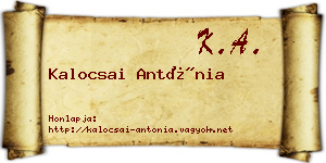 Kalocsai Antónia névjegykártya