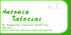 antonia kalocsai business card